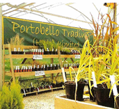 2006 Portobello trading